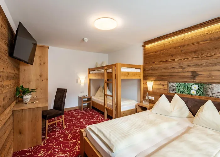 ホテル Garni Heisenhof 3*