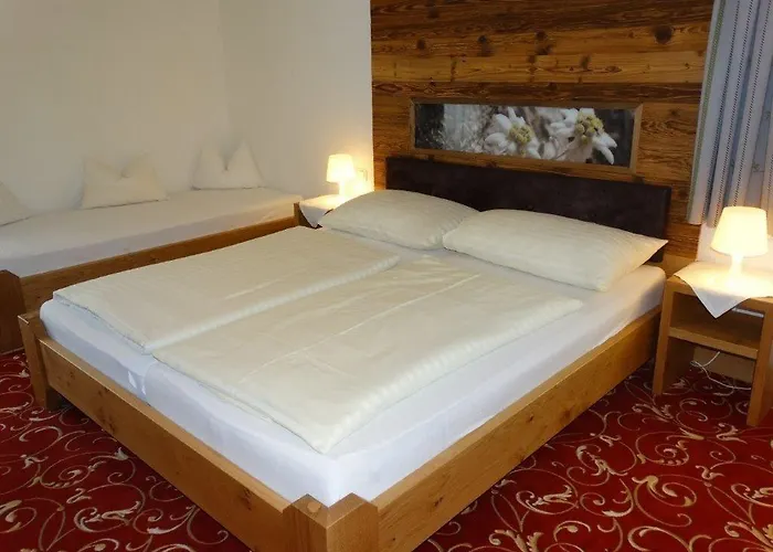 Garni Heisenhof ホテル 3*