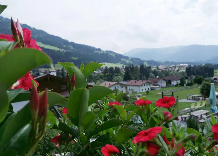 Garni Heisenhof ホテル ヴェステンドルフ